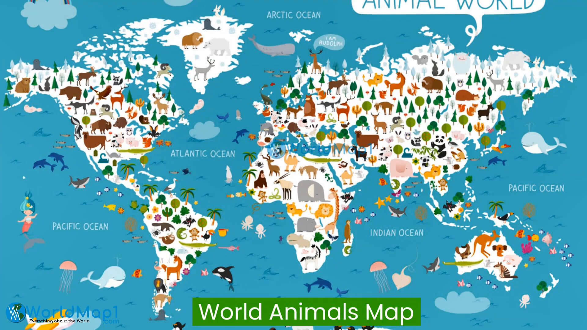 World Animals Map
